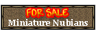 Sale: Mini Nubians